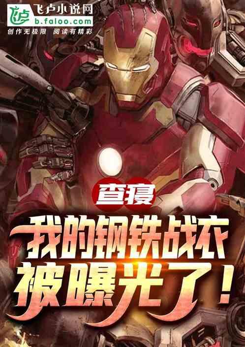 查寝:我的钢铁侠战衣被曝光!