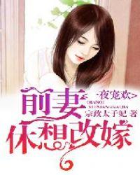 一夜宠欢:前妻,休想改嫁