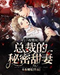 一夜情深:总裁的秘密甜妻