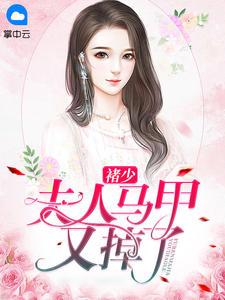 褚少,夫人马甲又掉了