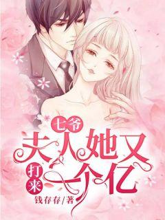 七爷,夫人她又打来一个亿!