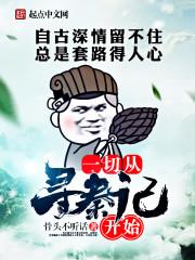 一切从寻秦记开始