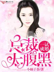 一试成婚,总裁太腹黑