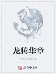 龙腾华章