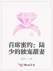 首席蜜约:陆少的独宠甜妻
