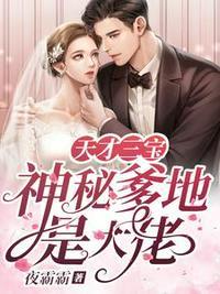 天才三宝:神秘爹地是大佬风千雪夜震霆