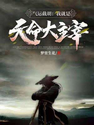 气运截胡:我就是天命大主宰