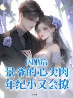 闪婚后,景爷的心尖肉年纪小又会撩