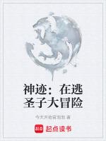 神迹:在逃圣子大冒险