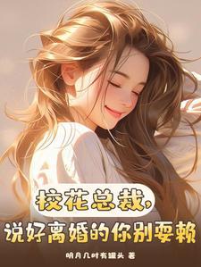 校花总裁,说好离婚的你别耍赖