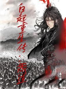 白起重生传:炁道