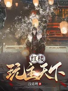 红楼:玩主天下