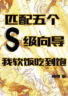 匹配五个S级向导,我软饭吃到饱