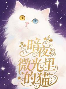 暗夜微光里的猫