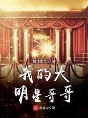 我的大明星哥哥